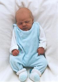 [Click to enlarge image]