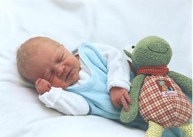 [Click to enlarge image]