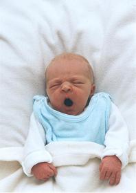 [Click to enlarge image]